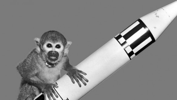 Η Τεχεράνη θα στείλει ένα πίθηκο στο διάστημα