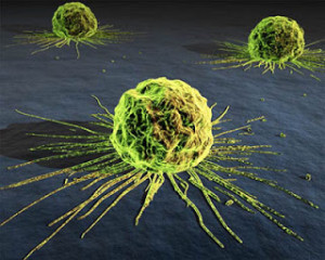 Έλληνες ερευνητές ένα βήμα πιο κοντά στην ανοσοθεραπεία του καρκίνου
