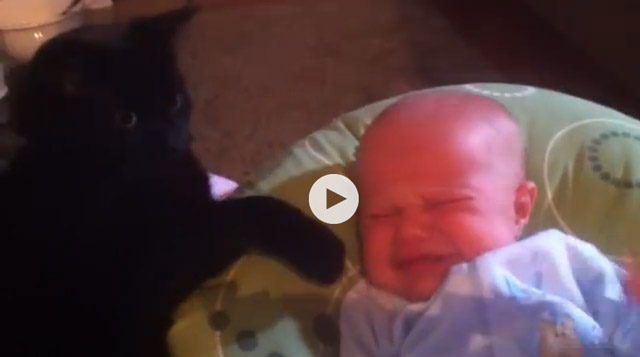 Μια γάτα νταντεύει ένα μωρό