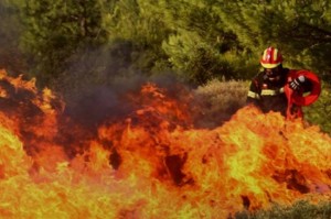 Μαγιόρκα: Εκατοντάδες πυροσβέστες στο μέτωπο της πυρκαγιάς