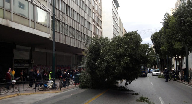 Δέντρο έπεσε σε αυτοκίνητο στη Σταδίου