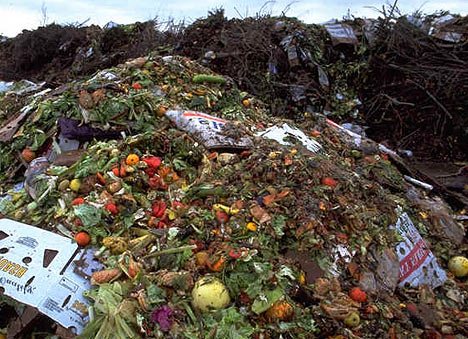 Τέσσερις στους 10 Έλληνες πετούν φαγητό στα σκουπίδια