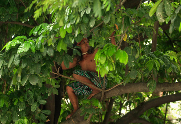 Διαμαρτυρία Ινδιάνου που έμεινε 26 ώρες πάνω σε δέντρο
