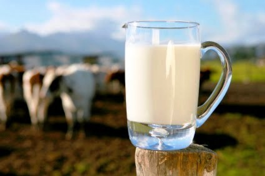 Έρχεται το «φρέσκο» γάλα …10 ημερών!